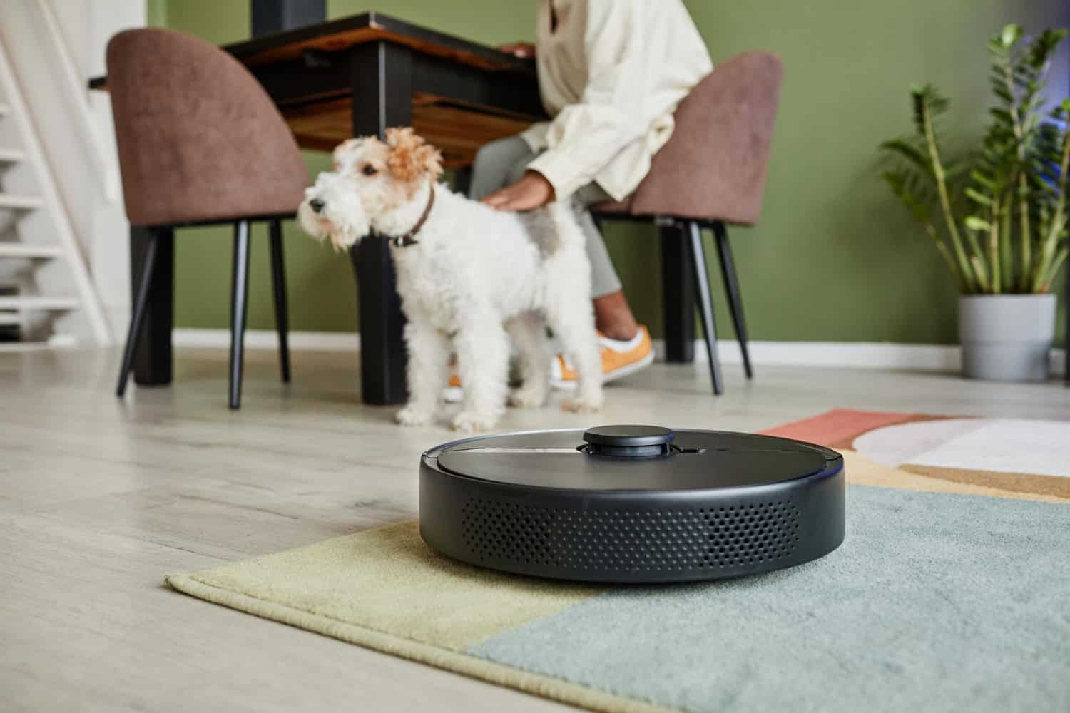 Is een robotstofzuiger gevaarlijk voor honden?