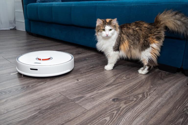 Is een robotstofzuiger gevaarlijk voor katten?